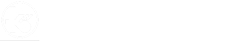brand logo active